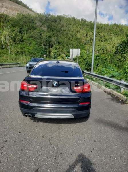 Big with watermark bmw x4 hanover lucea 5699