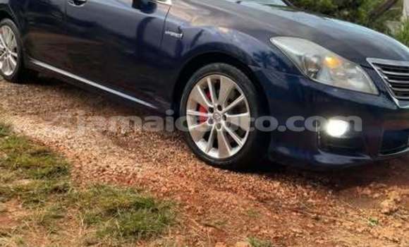 Buy Used Toyota C-HR Other Car in Kingston in Kingston