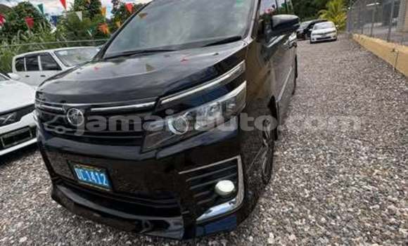 Buy Used Toyota Voxy Other Car in Mandeville in Manchester