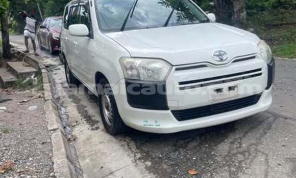 Buy Used Toyota Probox Other Car in Mandeville in Manchester