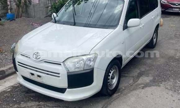 Buy Used Toyota Probox Other Car in Mandeville in Manchester Buy Used Toyota Probox Other Car in Mandeville in Manchester