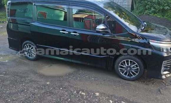 Buy Used Toyota Probox Other Car in Mandeville in Manchester Buy Used Toyota Probox Other Car in Mandeville in Manchester