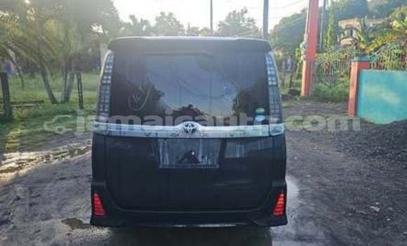 Buy Used Toyota Probox Other Car in Mandeville in Manchester Buy Used Toyota Probox Other Car in Mandeville in Manchester