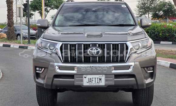 Buy Used Toyota Land Cruiser Prado Brown Car in Kingston in Kingston