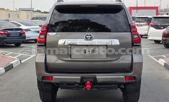Buy Used Toyota Land Cruiser Prado Brown Car in Kingston in Kingston Buy Used Toyota Land Cruiser Prado Brown Car in Kingston in Kingston