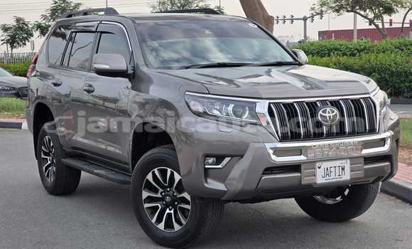Buy Used Toyota Land Cruiser Prado Brown Car in Kingston in Kingston Buy Used Toyota Land Cruiser Prado Brown Car in Kingston in Kingston