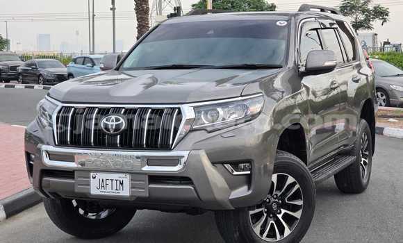 Buy Used Toyota Land Cruiser Prado Brown Car in Kingston in Kingston Buy Used Toyota Land Cruiser Prado Brown Car in Kingston in Kingston