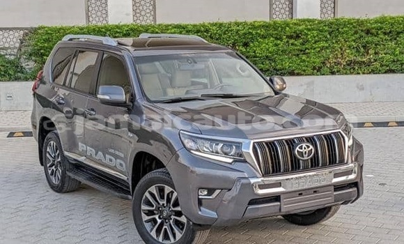 Buy Used Toyota Land Cruiser Prado Other Car in Kingston in Kingston