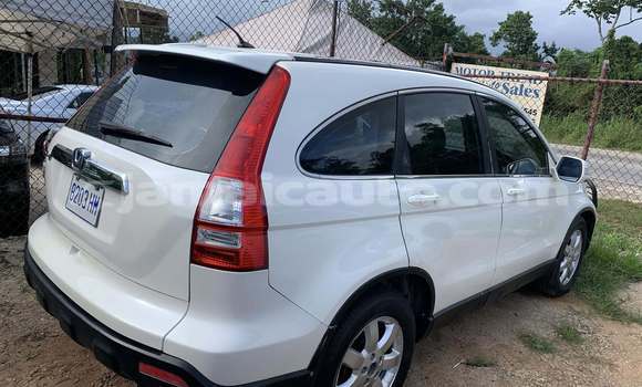 Buy Used Honda CR–V White Car in Port Antonio in Portland Buy Used Honda CR–V White Car in Port Antonio in Portland