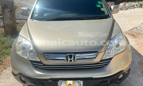 Buy Used Honda CR–V Other Car in Port Antonio in Portland