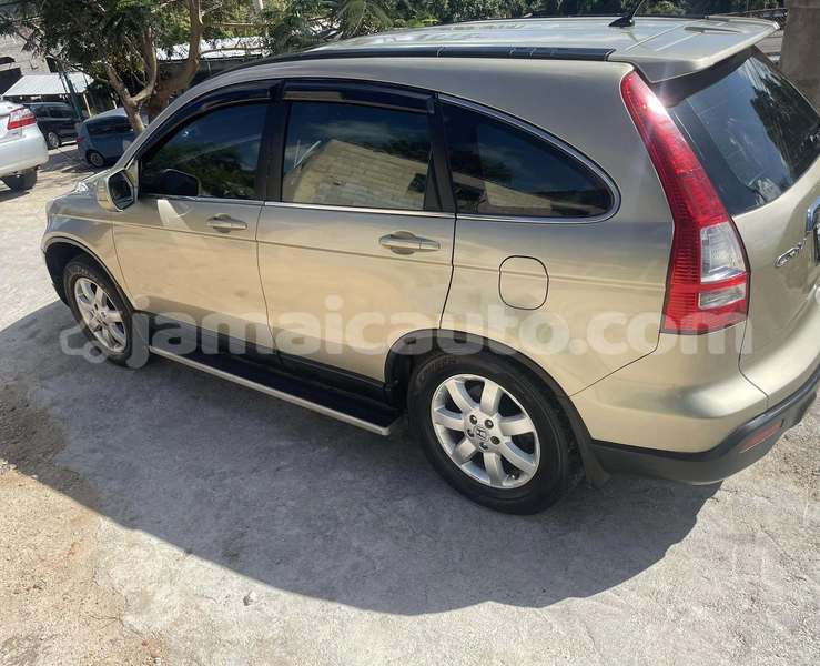 Big with watermark honda cr v portland port antonio 5782