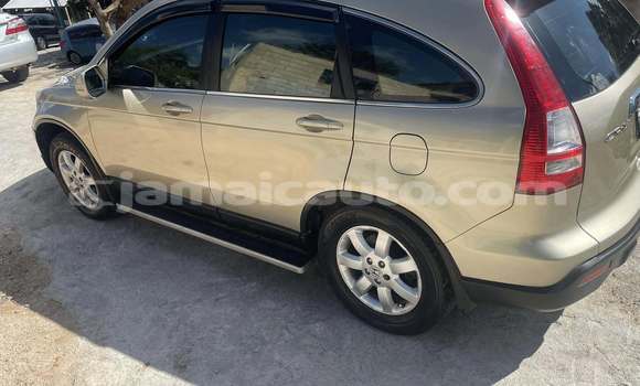 Buy Used Honda CR–V Other Car in Port Antonio in Portland Buy Used Honda CR–V Other Car in Port Antonio in Portland