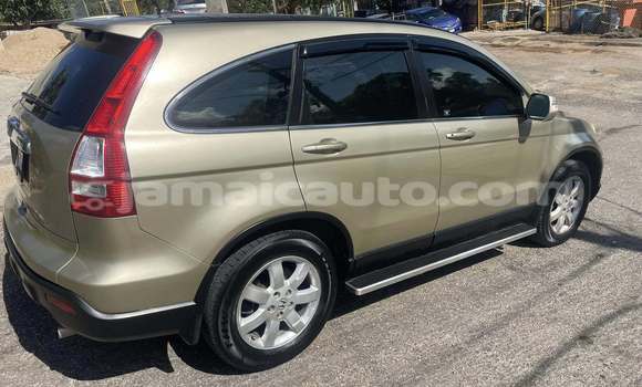 Buy Used Honda CR–V Other Car in Port Antonio in Portland Buy Used Honda CR–V Other Car in Port Antonio in Portland