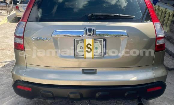 Buy Used Honda CR–V Other Car in Port Antonio in Portland Buy Used Honda CR–V Other Car in Port Antonio in Portland