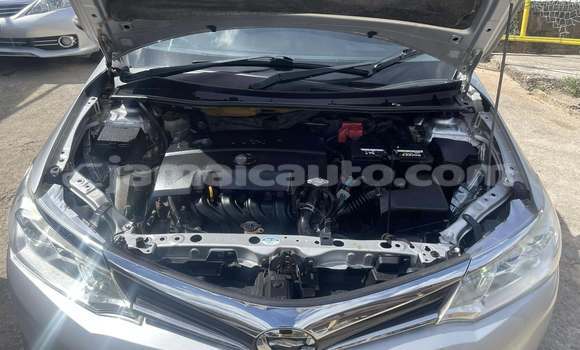 Buy Used Toyota Axio Other Car in Mandeville in Manchester Buy Used Toyota Axio Other Car in Mandeville in Manchester