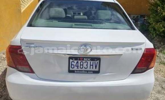 Buy Used Toyota Axio Other Car in Mandeville in Manchester