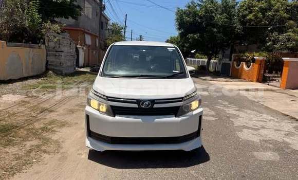 Buy Used Toyota Voxy Other Car in Albert Town in Trelawney