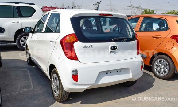 Acheter Import Voiture Kia Picanto Blanc à Import - Dubai, Clarendon Acheter Import Voiture Kia Picanto Blanc à Import - Dubai, Clarendon