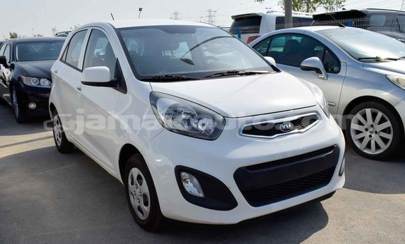 Buy Import Kia Picanto White Car in Import - Dubai in Clarendon