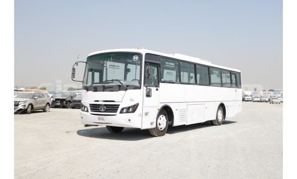 Buy Import Tata Xenon White Car in Import - Dubai in Clarendon